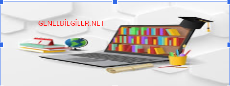EĞİTİMDE MOTİVASYONUN ÖNEMİ