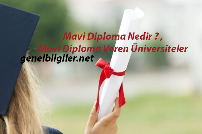 Mavi Diploma Nedir ? , Mavi Diploma Veren Üniversiteler 